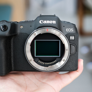 Canon EOS R8 - Likenew (Body)