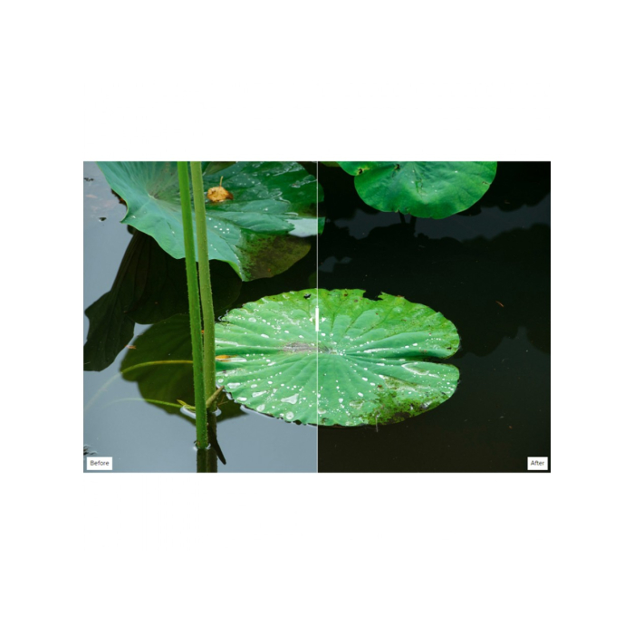 Filter Hoya UX II CIR-PL 55mm - Chính hãng